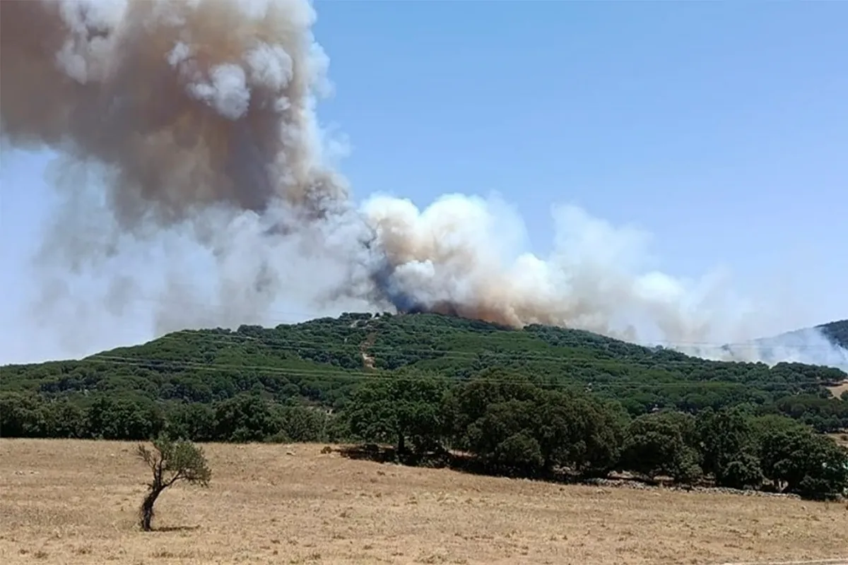 Imagen para: Incendio en Grazalema provoca evacuaciones a medida que el viento complica las labores de extinción