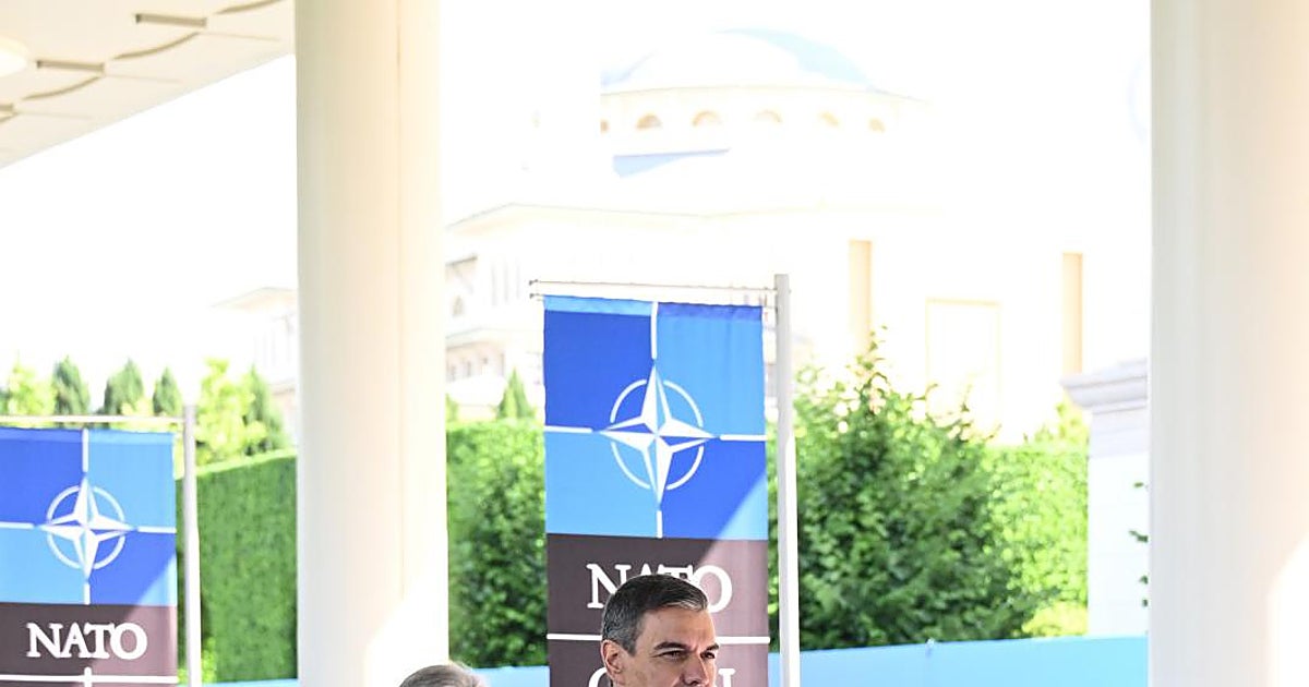 Imagen para: Pedro Sánchez y su dilema ecológico en la cumbre de la OTAN en Ankara