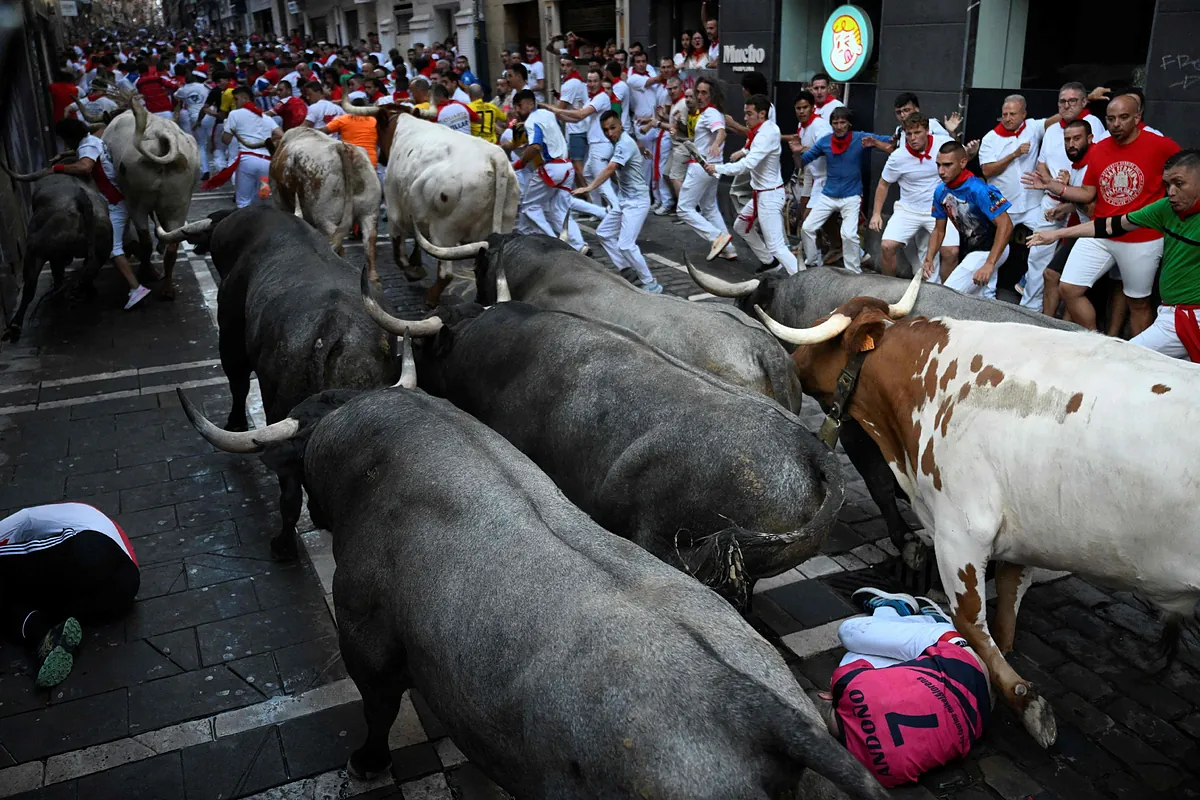 Imagen para: Quinto encierro de San Fermín: masificado y peligroso con toros de Escolar