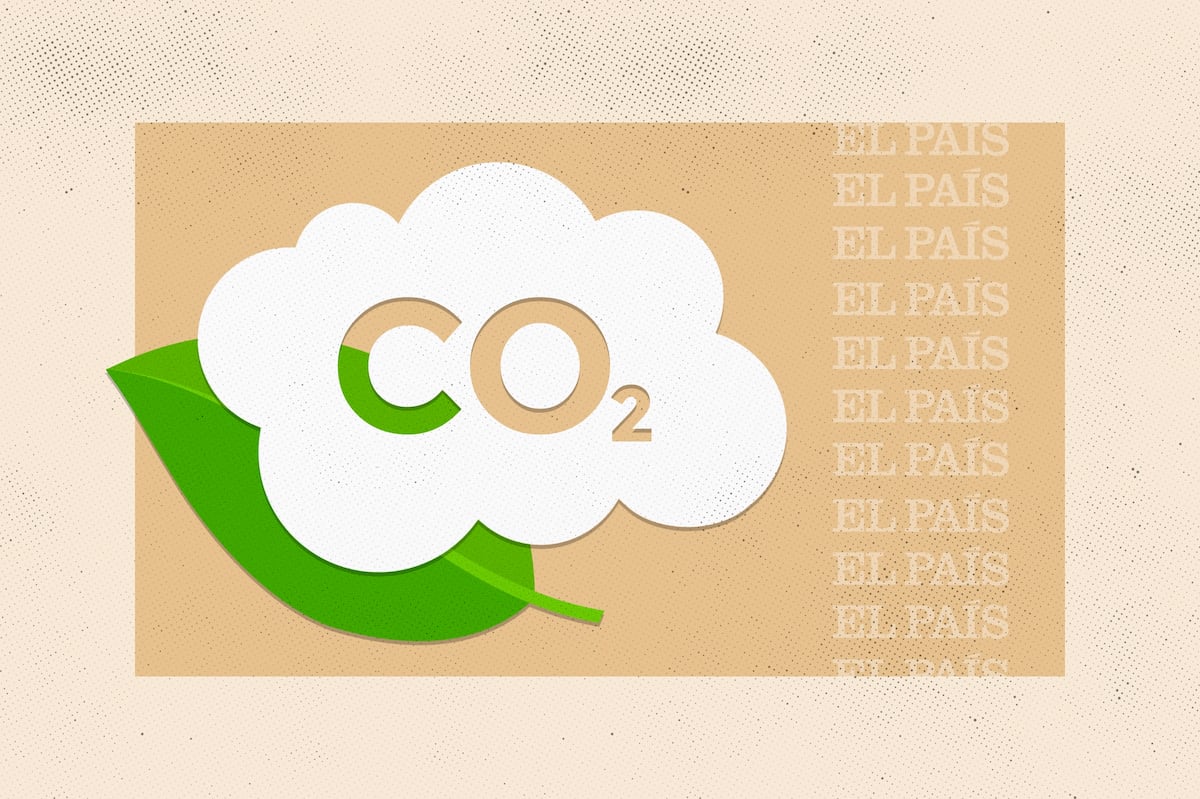Imagen para: Ni un paso atrás contra la crisis climática: la necesidad de información ambiental en los medios