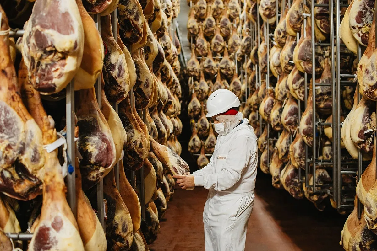 Imagen para: Incarlopsa reporta un 76% de aumento en beneficios en un año crítico para el porcino