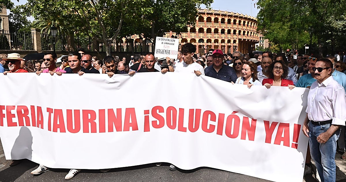 Imagen para: La Justicia salva el Pilar: Aficionados claman por soluciones en la Misericordia