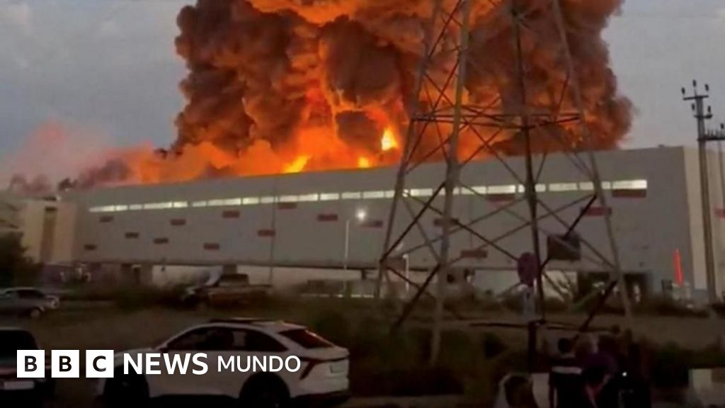 Imagen para: Por qué Ucrania ataca con fuerza a Wildberries, el equivalente ruso de Amazon